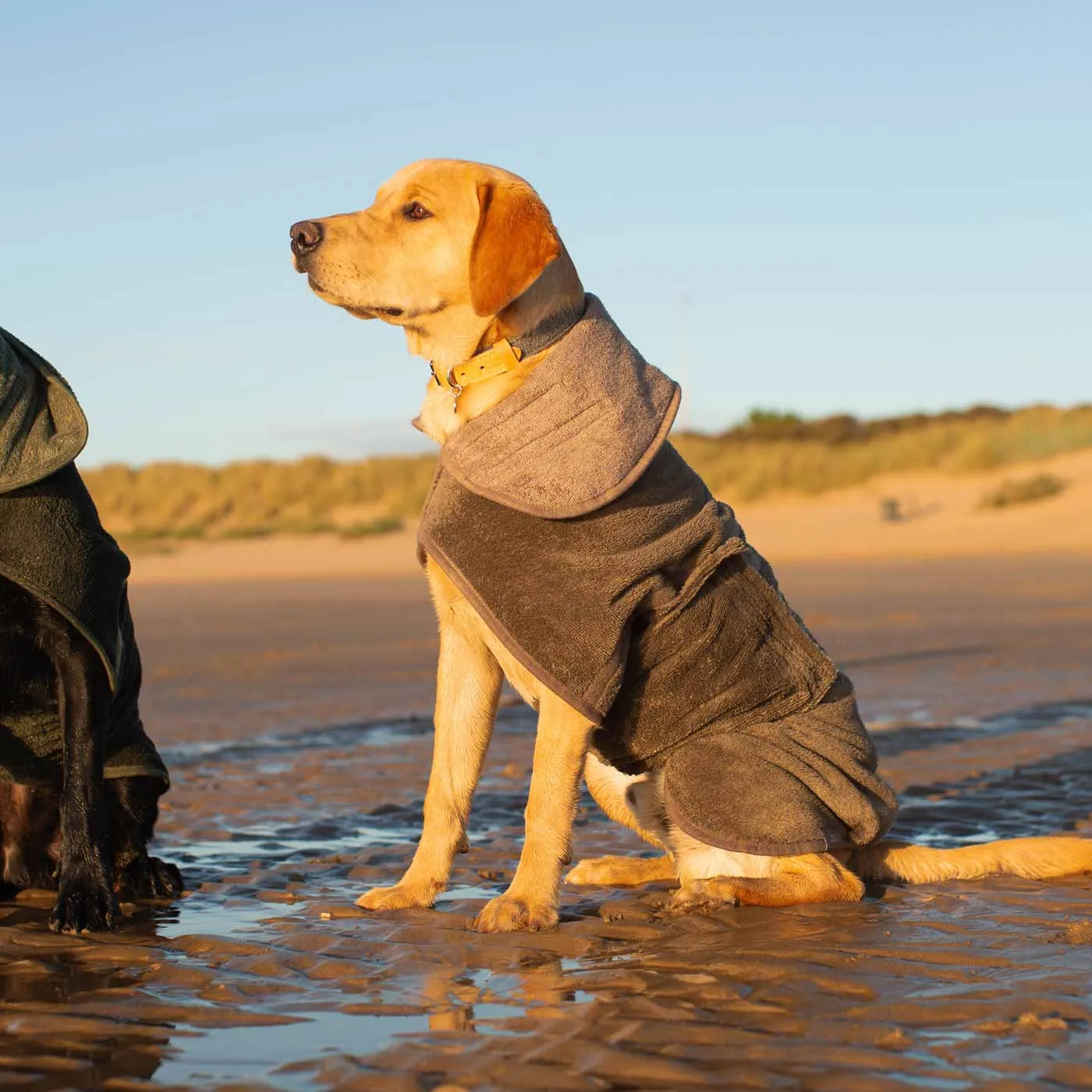 Bamboo Drying Coat in Mole by Lords & Labradors