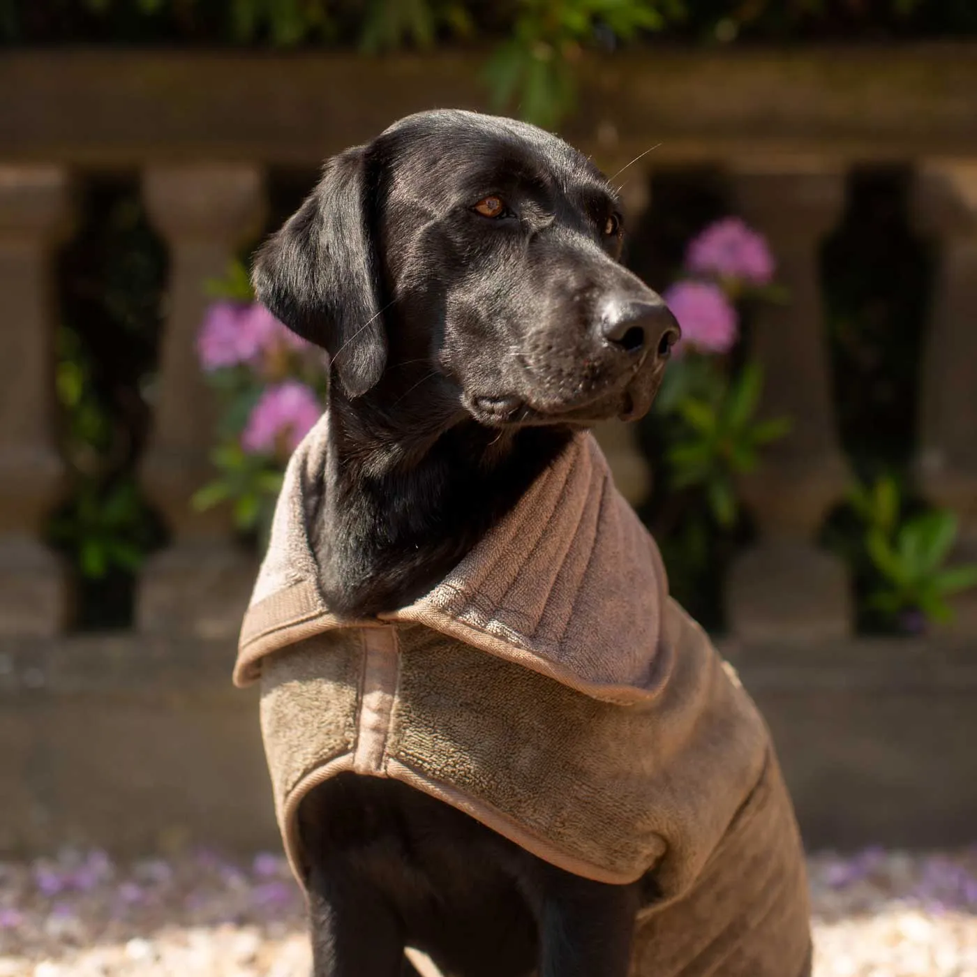 Bamboo Drying Coat in Mole by Lords & Labradors