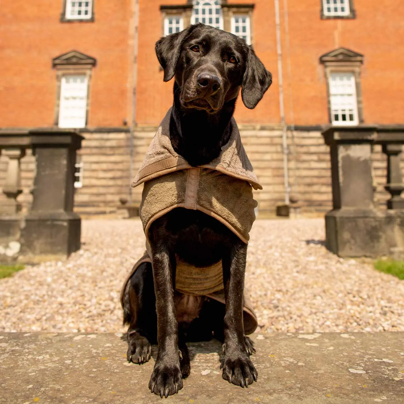 Bamboo Drying Coat in Mole by Lords & Labradors