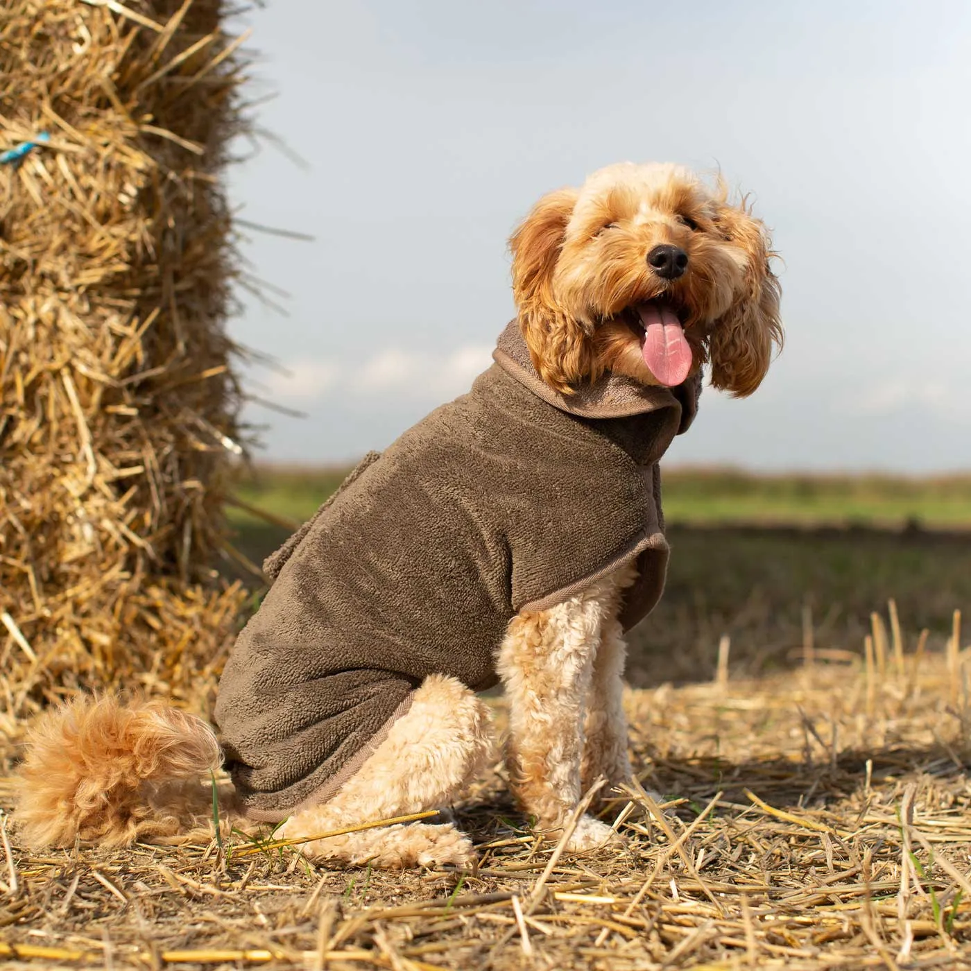 Bamboo Drying Coat in Mole by Lords & Labradors