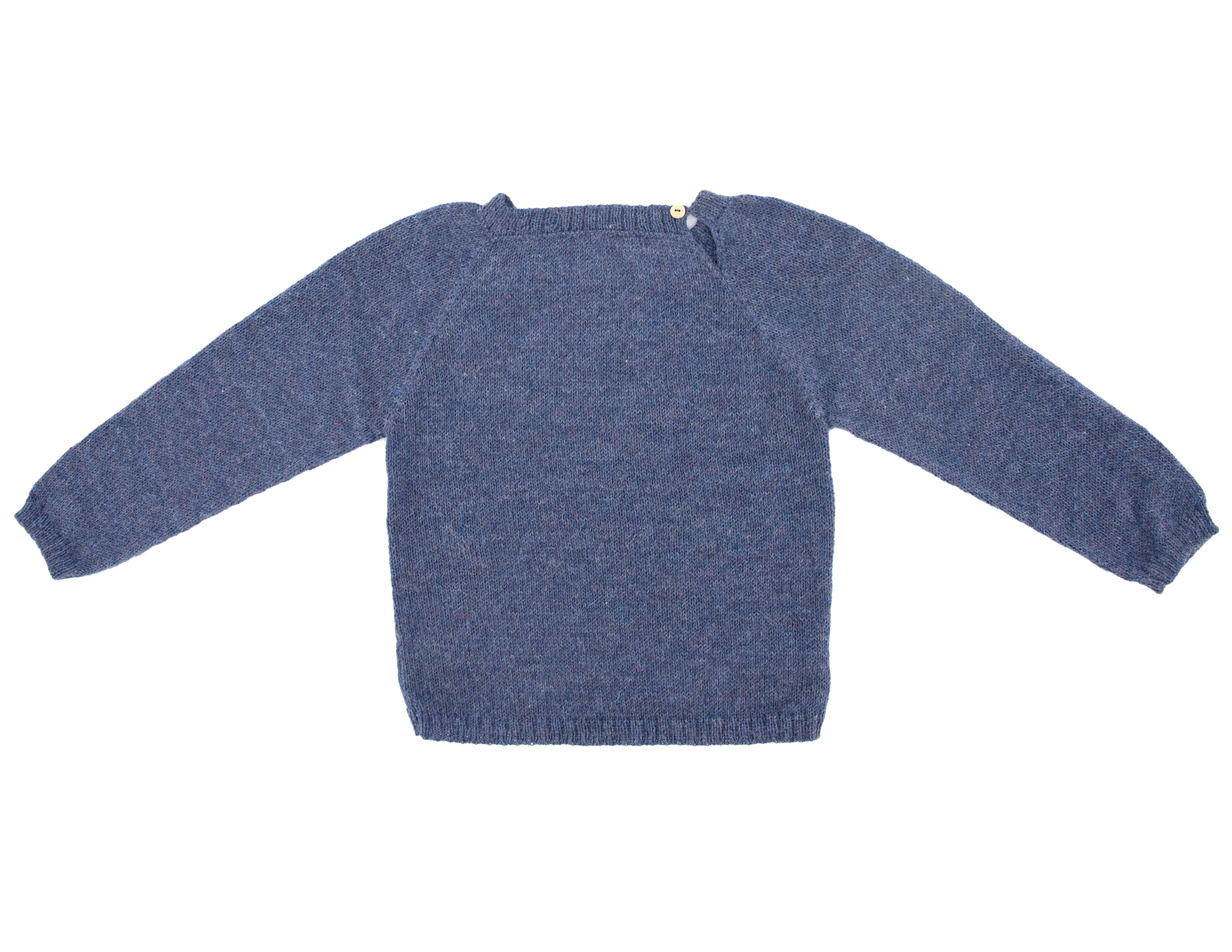 NW419 Turtle Sweater in Blue